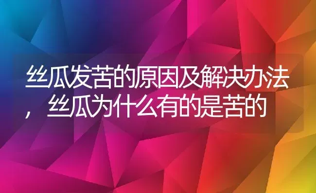 丝瓜发苦的原因及解决办法,丝瓜为什么有的是苦的 | 养殖常见问题