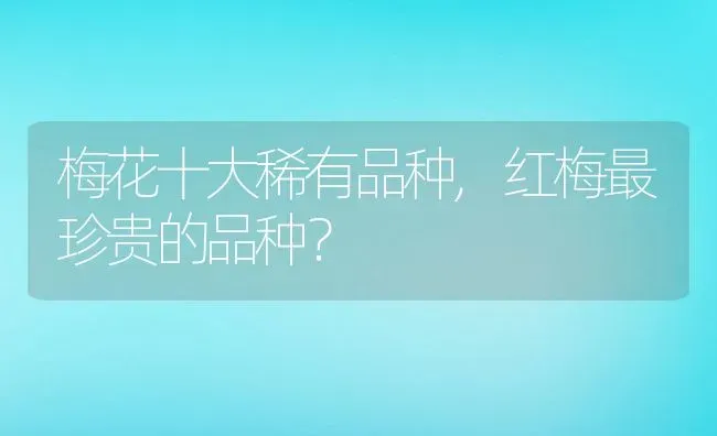 梅花十大稀有品种,红梅最珍贵的品种？ | 养殖常见问题