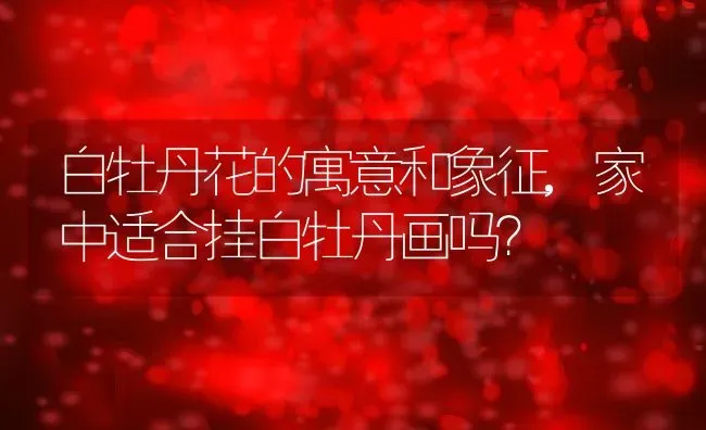 白牡丹花的寓意和象征,家中适合挂白牡丹画吗？ | 养殖常见问题
