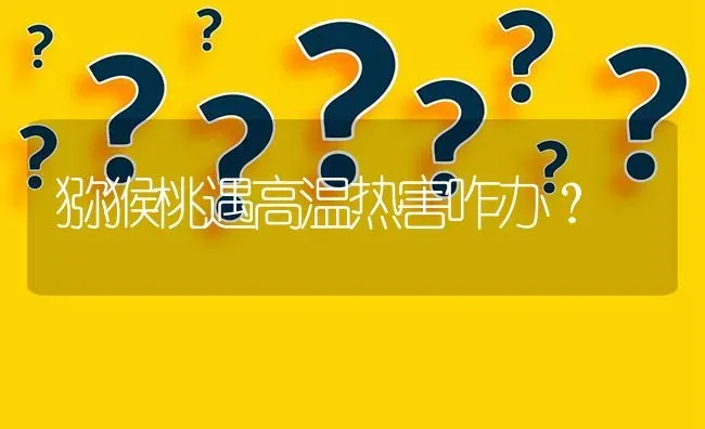 猕猴桃遇高温热害咋办? | 养殖问题解答