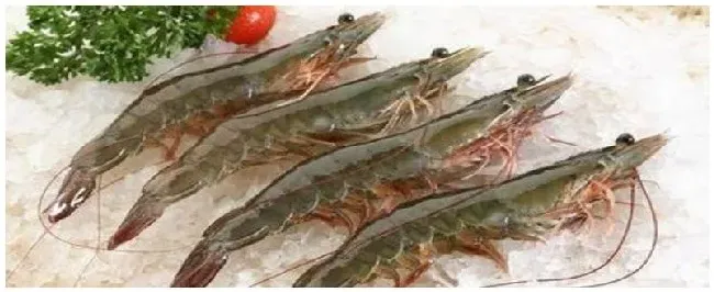 对虾有虾线吗 | 科普知识