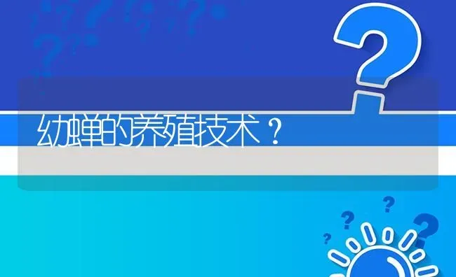 幼蝉的养殖技术? | 养殖问题解答