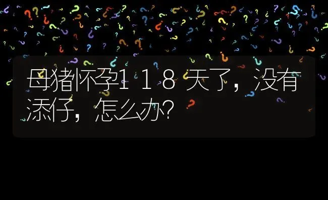 母猪怀孕118天了,没有添仔,怎么办? | 养殖问题解答