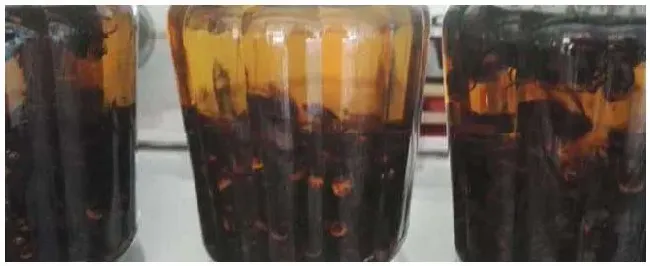 虎头蜂泡酒的功效是什么 | 农业常识