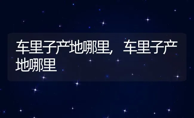 车里子产地哪里,车里子产地哪里 | 养殖常见问题