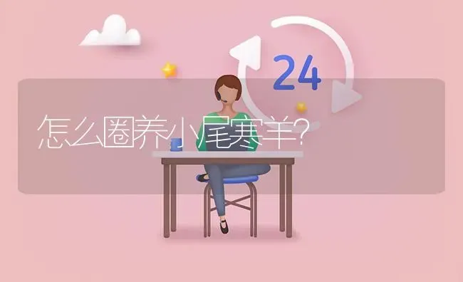 怎么圈养小尾寒羊? | 养殖问题解答