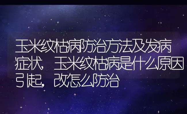 玉米纹枯病防治方法及发病症状,玉米纹枯病是什么原因引起，改怎么防治 | 养殖常见问题