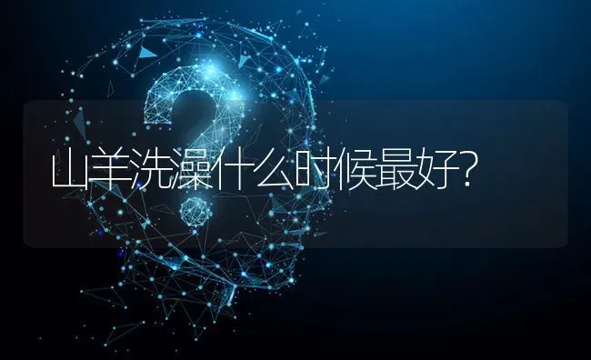 山羊洗澡什么时候最好? | 养殖问题解答