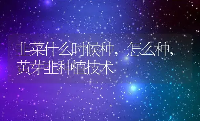 韭菜什么时候种，怎么种,黄芽韭种植技术 | 养殖常见问题