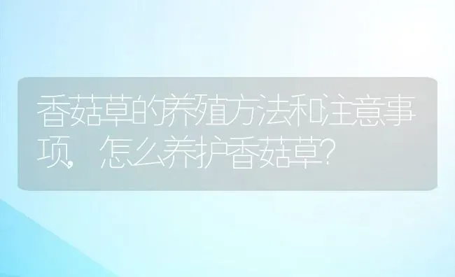 香菇草的养殖方法和注意事项,怎么养护香菇草？ | 养殖常见问题