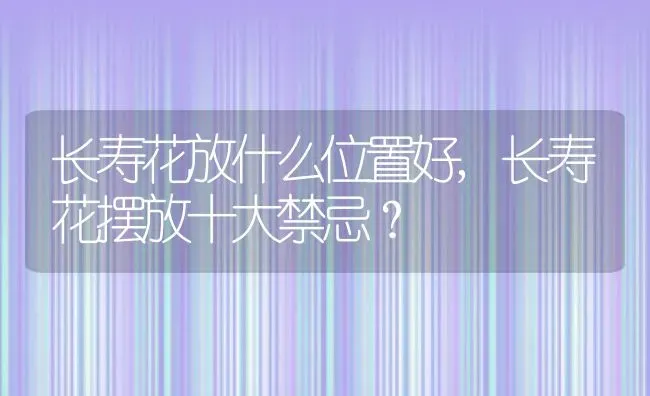 长寿花放什么位置好,长寿花摆放十大禁忌？ | 养殖常见问题