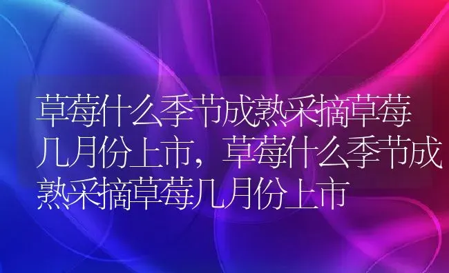 玉兰花什么颜色四种颜色玉兰花样子,玉兰树哪个颜色更旺宅？ | 养殖常见问题