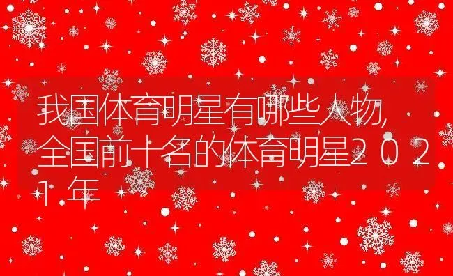 我国体育明星有哪些人物,全国前十名的体育明星2021年 | 养殖常见问题