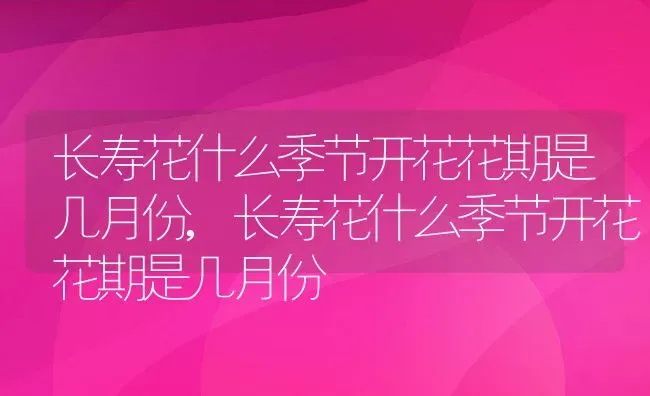 长寿花什么季节开花花期是几月份,长寿花什么季节开花花期是几月份 | 养殖常见问题