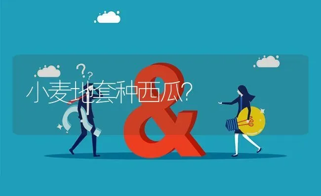 小麦地套种西瓜? | 养殖问题解答