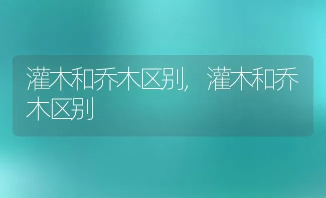 灌木和乔木区别,灌木和乔木区别 | 养殖常见问题