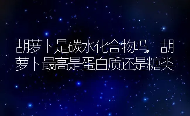 胡萝卜是碳水化合物吗,胡萝卜最高是蛋白质还是糖类 | 养殖常见问题