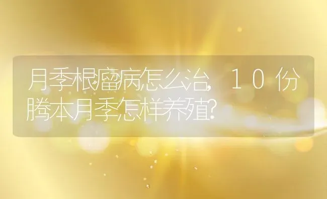 月季根瘤病怎么治,10份腾本月季怎样养殖? | 养殖常见问题