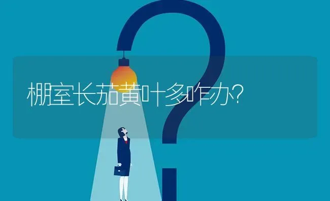 棚室长茄黄叶多咋办? | 养殖问题解答