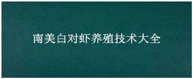 南美白对虾养殖技术大全 | 三农问答