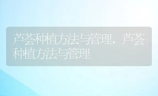 芦荟种植方法与管理,芦荟种植方法与管理 | 养殖常见问题