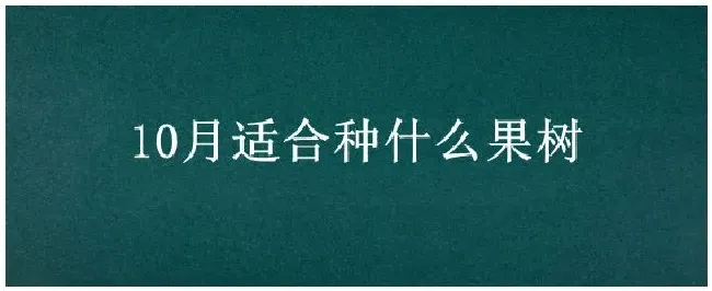 10月适合种什么果树 | 三农问答