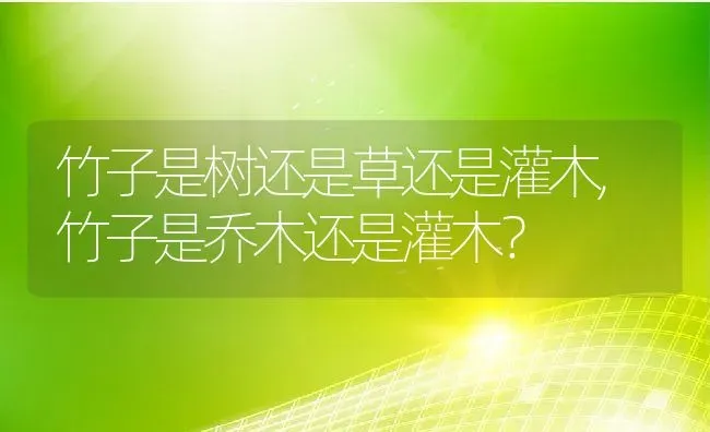 竹子是树还是草还是灌木,竹子是乔木还是灌木？ | 养殖常见问题