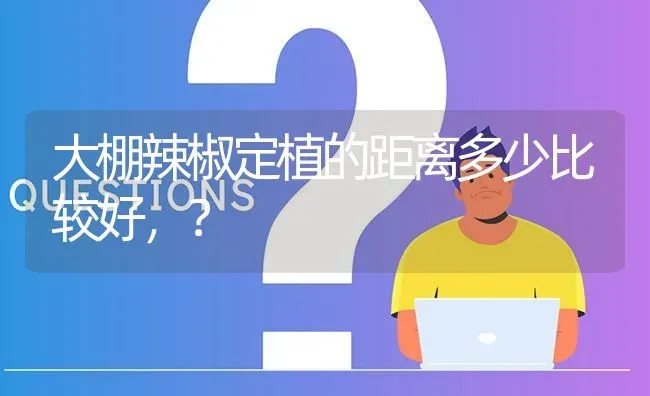 大棚辣椒定植的距离多少比较好,? | 养殖问题解答