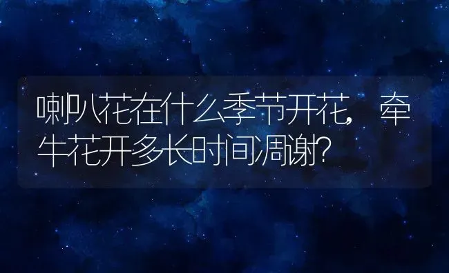 喇叭花在什么季节开花,牵牛花开多长时间凋谢？ | 养殖常见问题