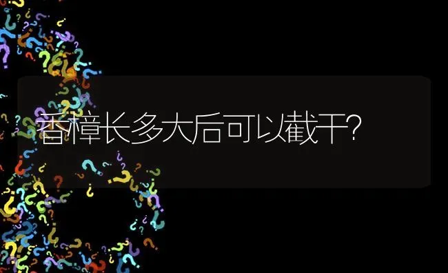 香樟长多大后可以截干? | 养殖问题解答