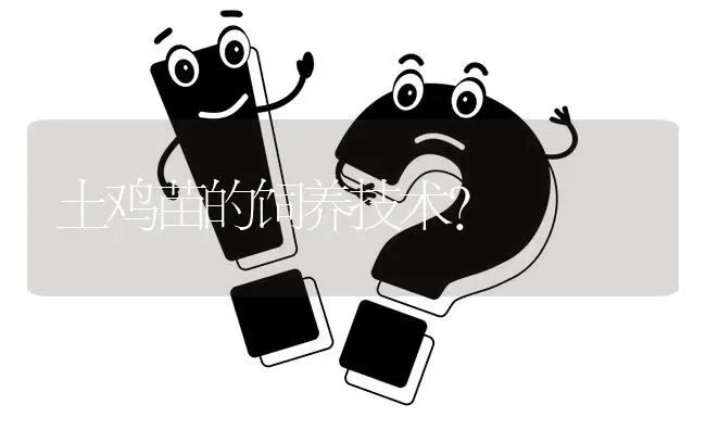 土鸡苗的饲养技术? | 养殖问题解答