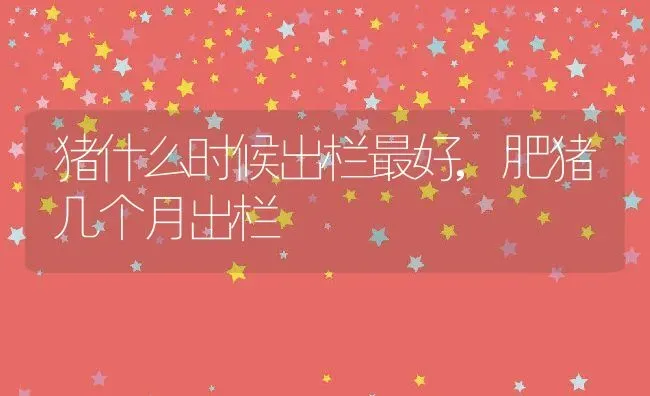 猪什么时候出栏最好,肥猪几个月出栏 | 养殖常见问题