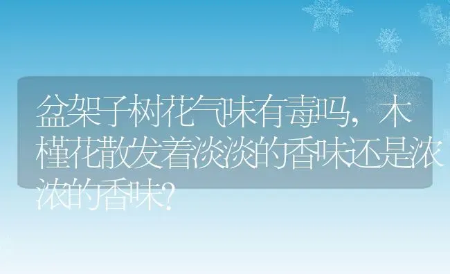 盆架子树花气味有毒吗,木槿花散发着淡淡的香味还是浓浓的香味？ | 养殖常见问题