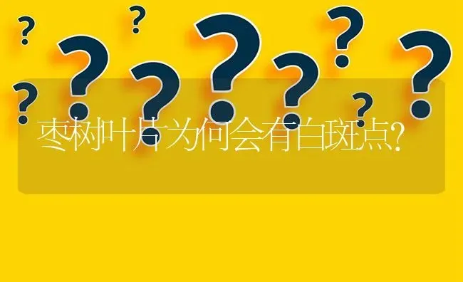 枣树叶片为何会有白斑点? | 养殖问题解答