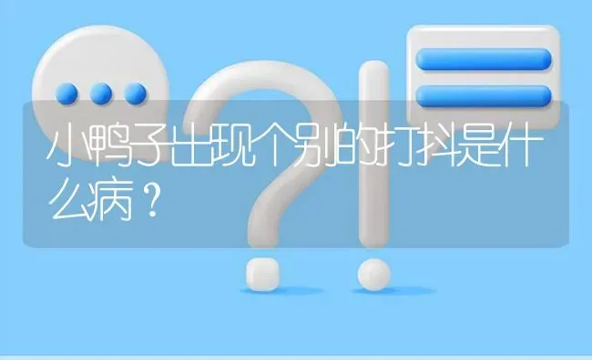 小鸭子出现个别的打抖是什么病? | 养殖问题解答