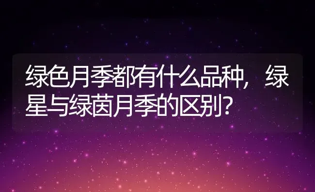 绿色月季都有什么品种,绿星与绿茵月季的区别？ | 养殖常见问题