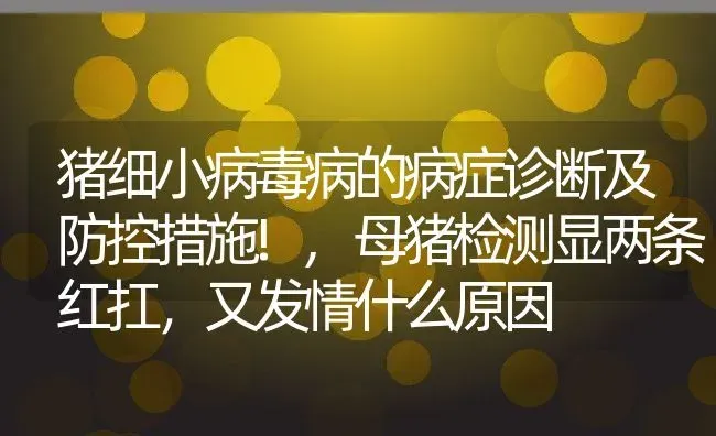 猪细小病毒病的病症诊断及防控措施!,母猪检测显两条红扛，又发情什么原因 | 养殖常见问题