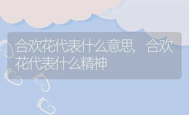 合欢花代表什么意思,合欢花代表什么精神 | 养殖常见问题