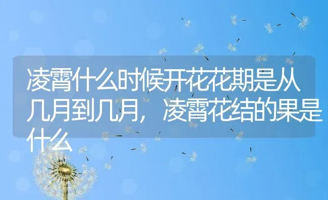 凌霄什么时候开花花期是从几月到几月,凌霄花结的果是什么 | 养殖常见问题