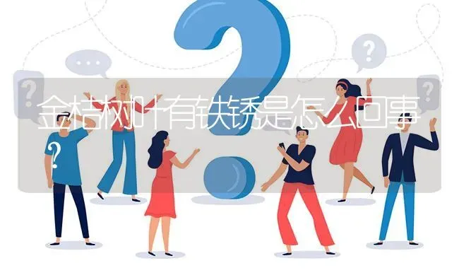 金桔树叶有铁锈是怎么回事? | 养殖问题解答