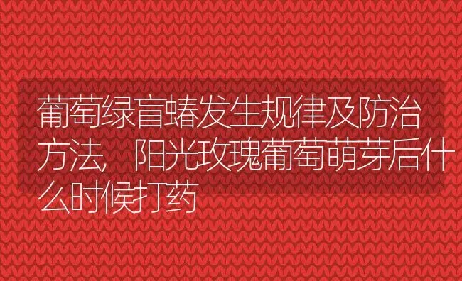 葡萄绿盲蝽发生规律及防治方法,阳光玫瑰葡萄萌芽后什么时候打药 | 养殖常见问题