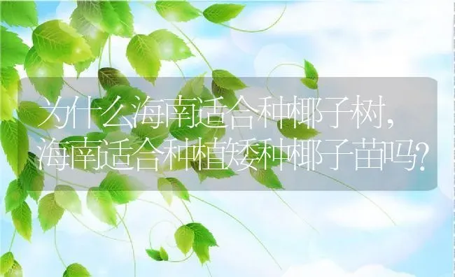 为什么海南适合种椰子树,海南适合种植矮种椰子苗吗？ | 养殖常见问题