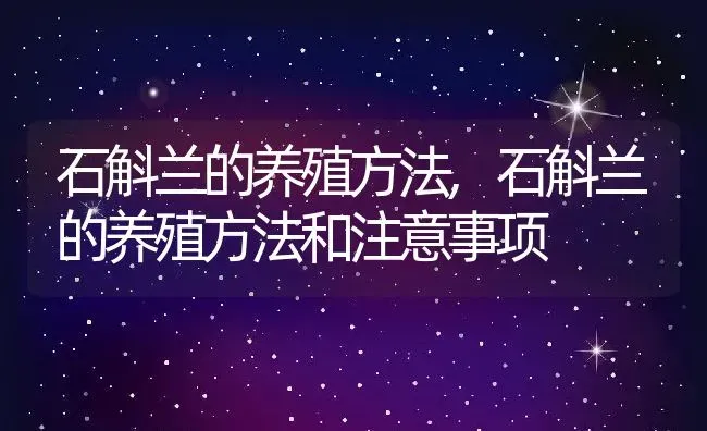 石斛兰的养殖方法,石斛兰的养殖方法和注意事项 | 养殖常见问题