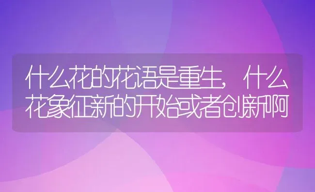 什么花的花语是重生,什么花象征新的开始或者创新啊 | 养殖常见问题