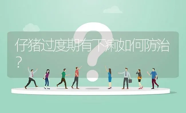 仔猪过度期有下痢如何防治? | 养殖问题解答