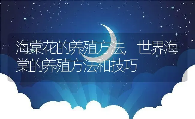 含羞草会开花吗,含羞草会开花吗 | 养殖常见问题