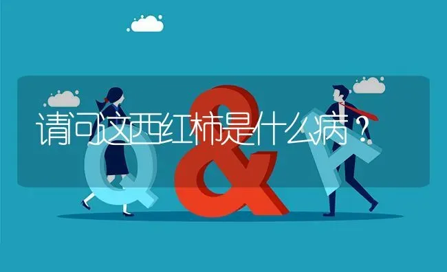 请问这西红柿是什么病? | 养殖问题解答