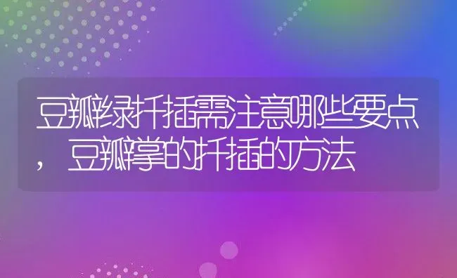 豆瓣绿扦插需注意哪些要点,豆瓣掌的扦插的方法 | 养殖常见问题