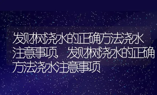 发财树浇水的正确方法浇水注意事项,发财树浇水的正确方法浇水注意事项 | 养殖常见问题