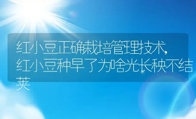 红小豆正确栽培管理技术,红小豆种早了为啥光长秧不结荚 | 养殖常见问题